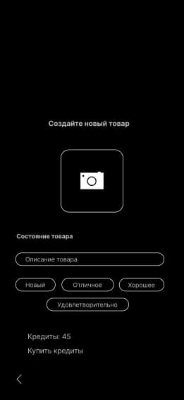 SALUTA: исходный экран 4